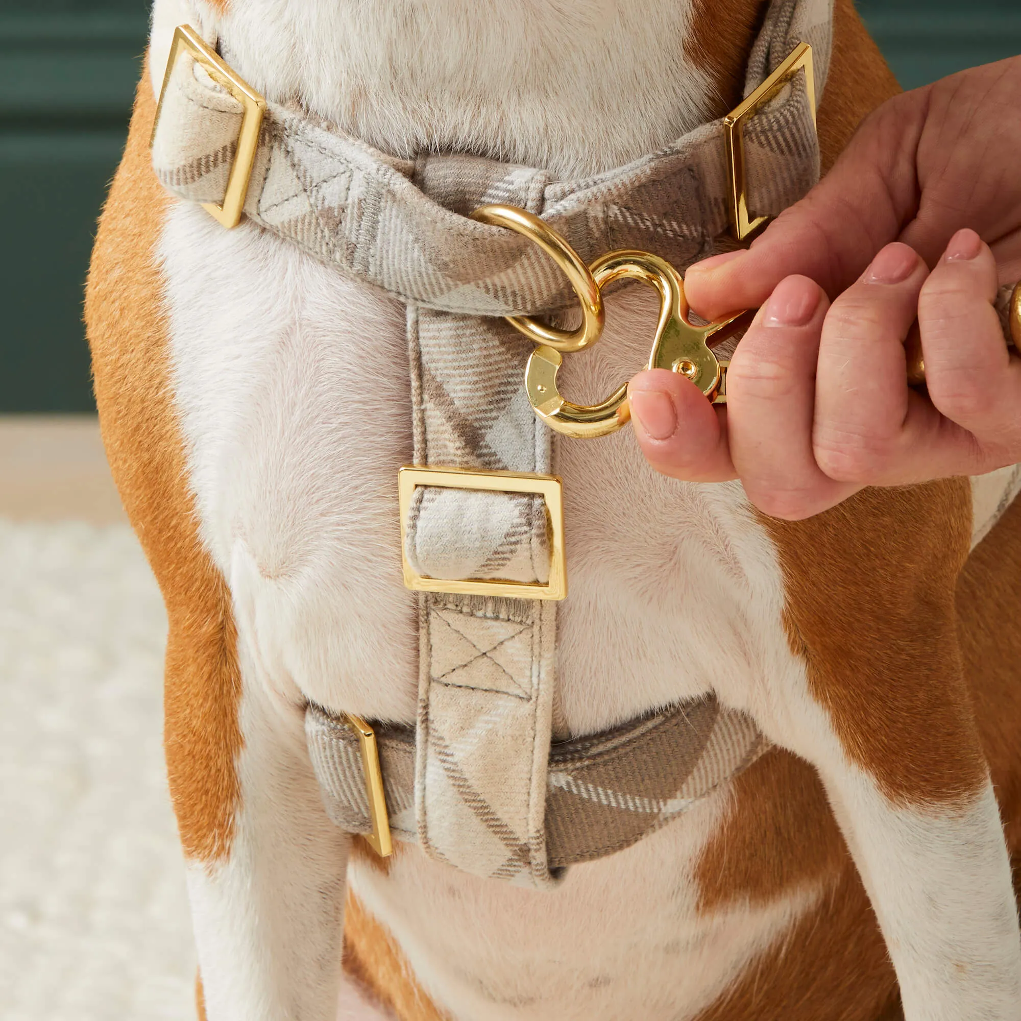 Andover Plaid Flannel Harness Walk Set