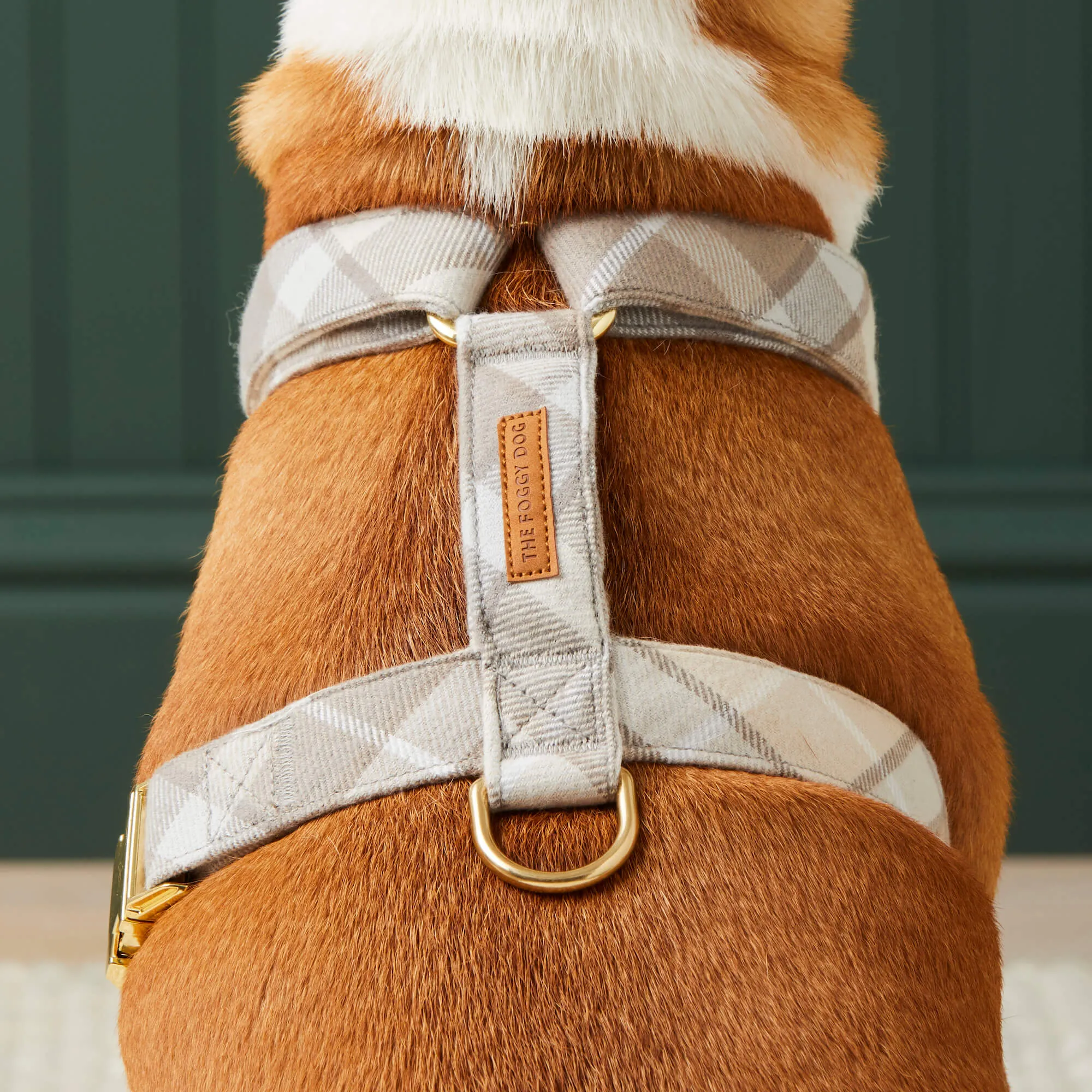 Andover Plaid Flannel Harness Walk Set