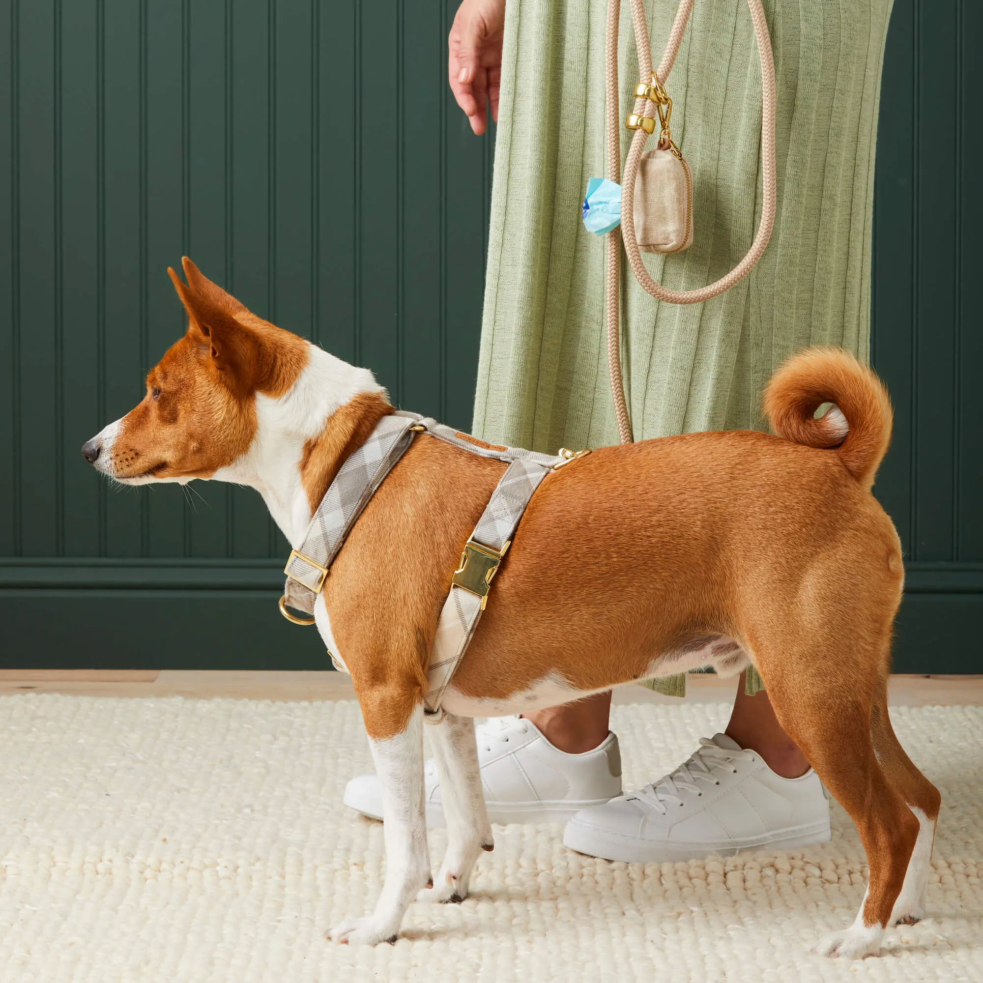 Andover Plaid Flannel Harness Walk Set