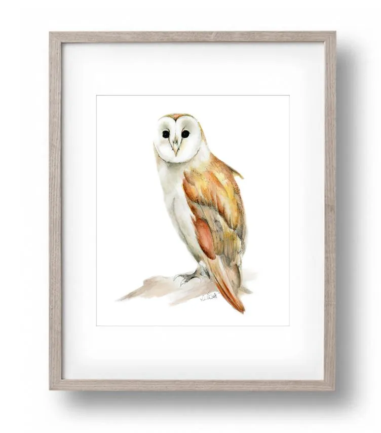 Barn Owl Print