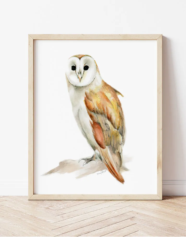 Barn Owl Print