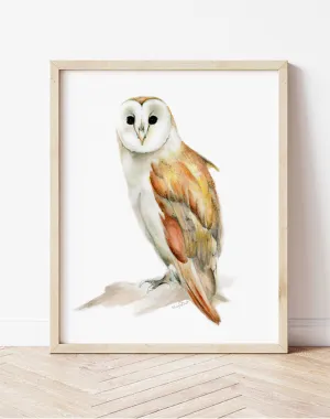 Barn Owl Print