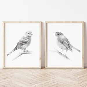 Bird Pencil Drawings - Set of 2