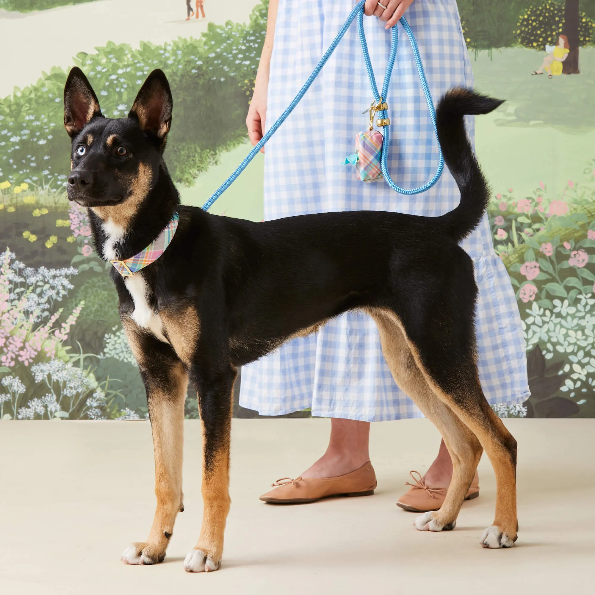 Blooming Plaid Collar Walk Set