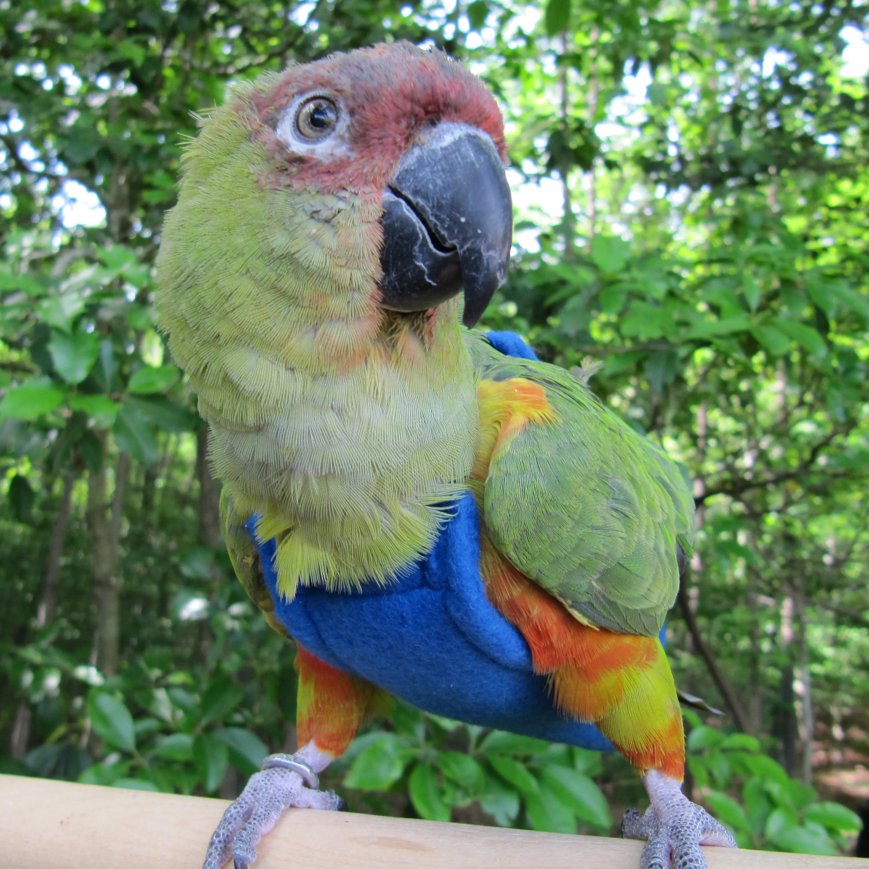 Blue Fleece FeatherWear FlightSuit™