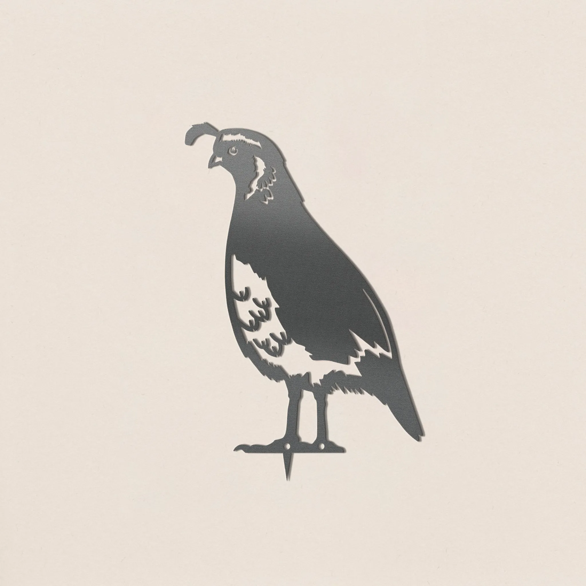 California Quail