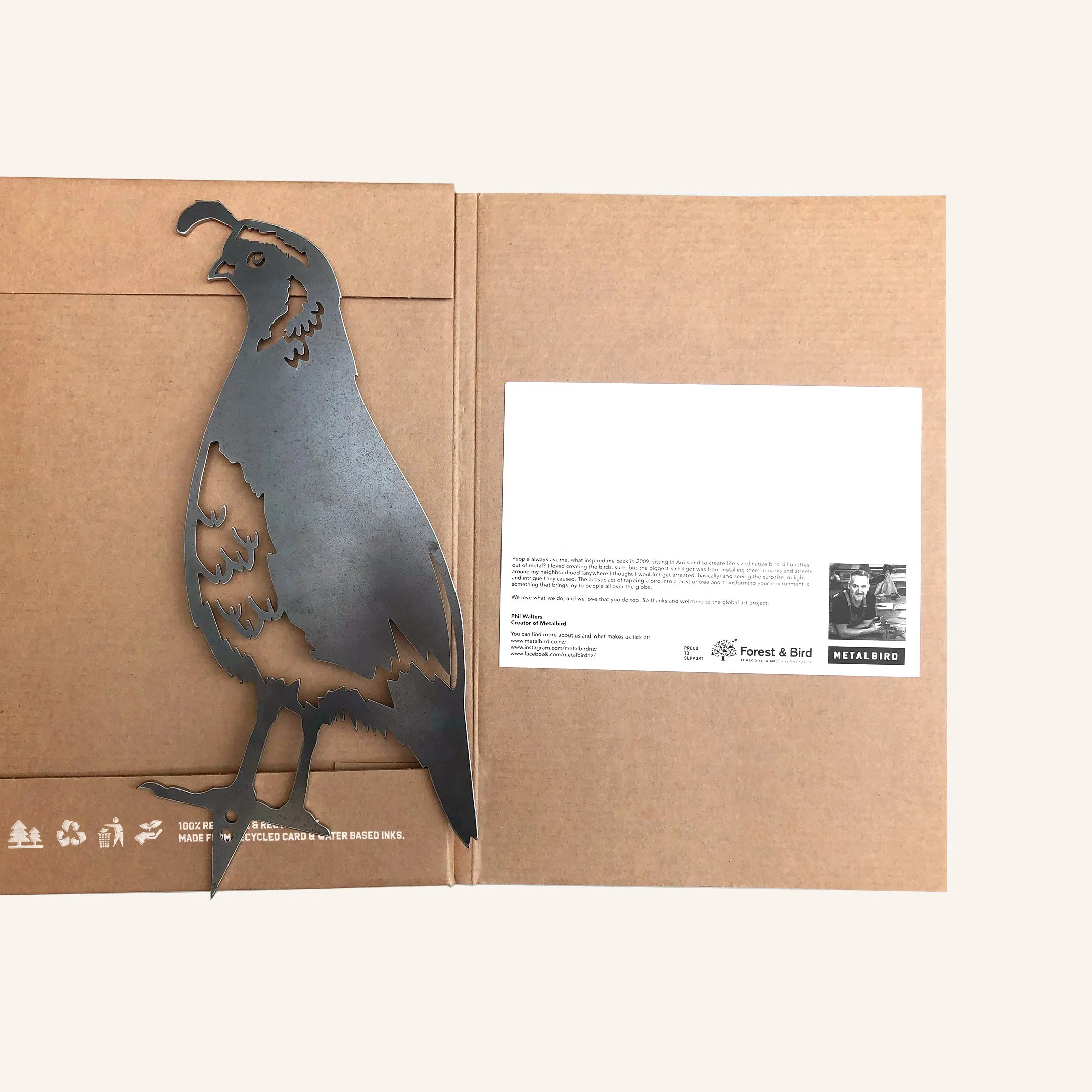 California Quail