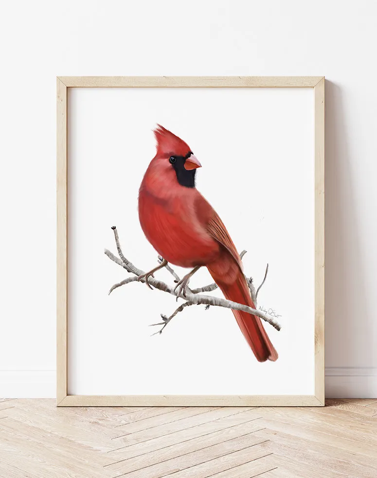 Cardinal Bird Art Print