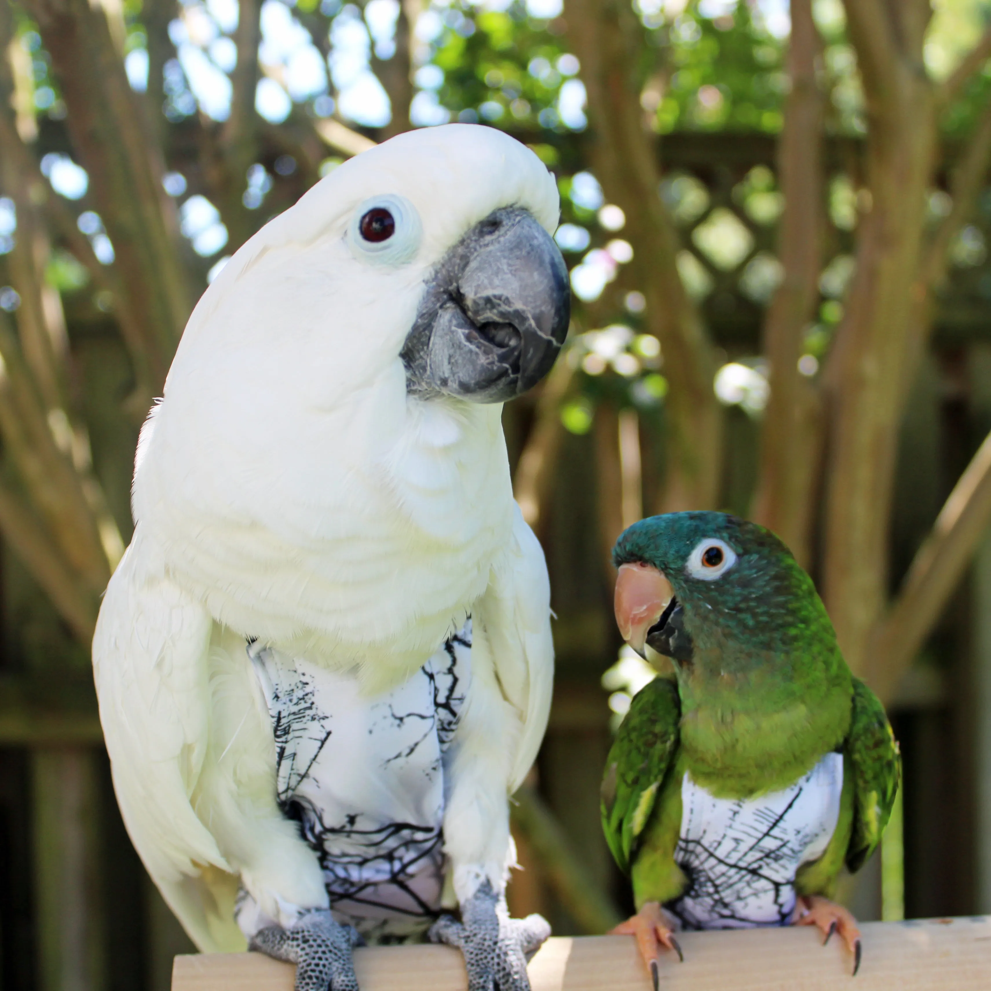 Crackle FeatherWear FlightSuit™