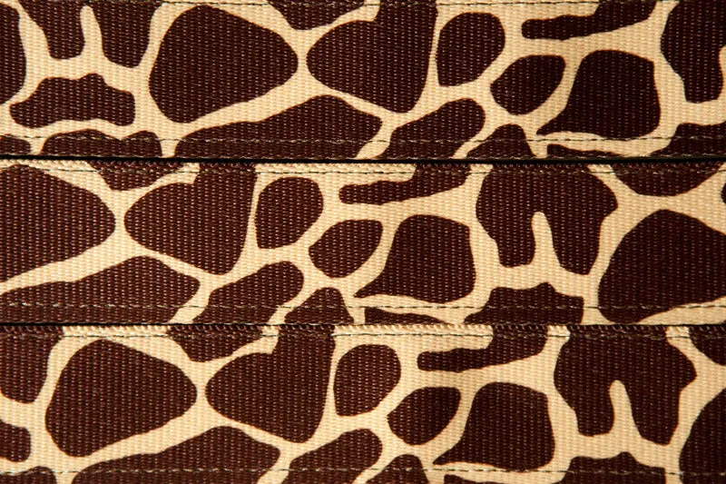 Giraffe Skin