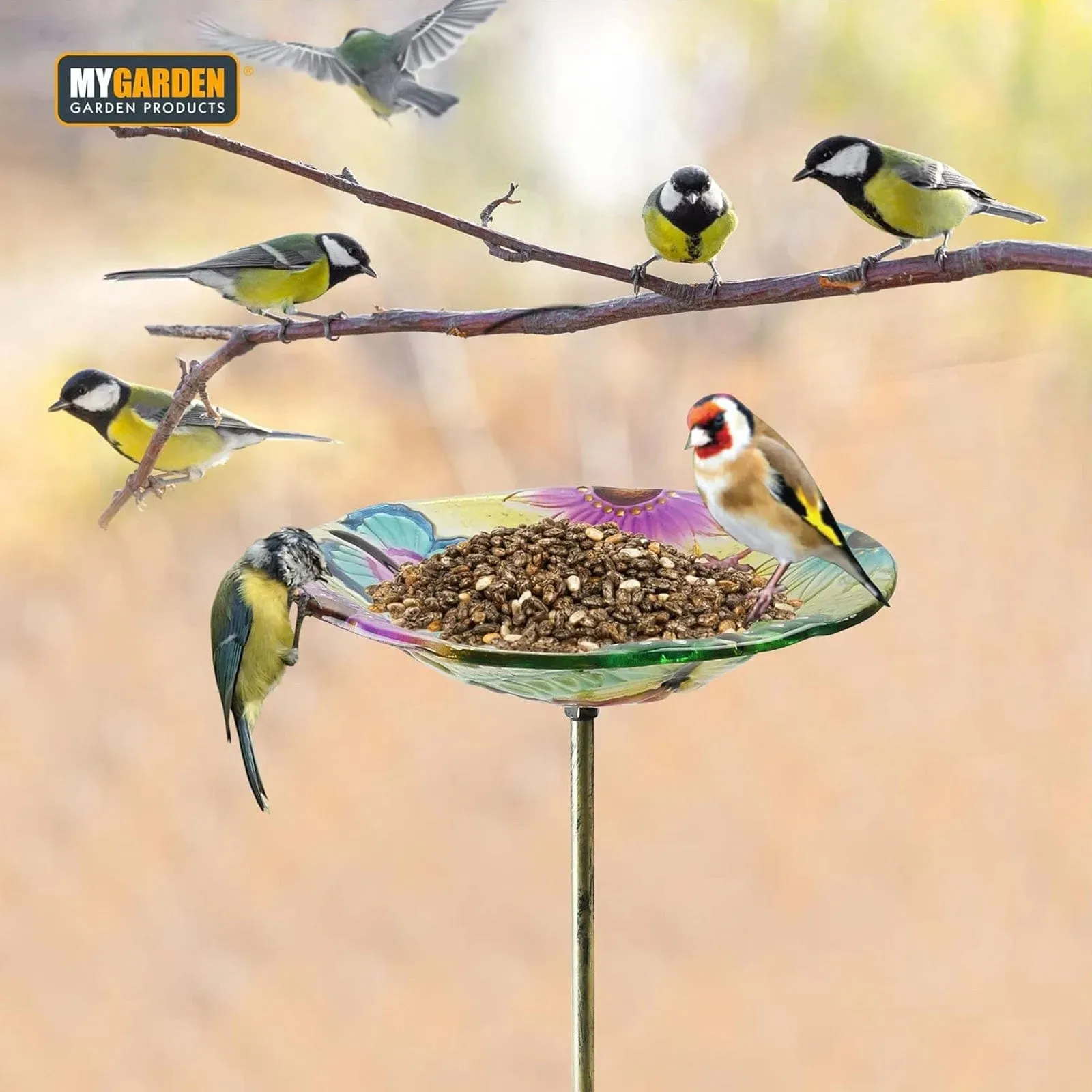 Glass Garden Bird Bath Outdoor Freestanding Water Dish - Choice of Designs
