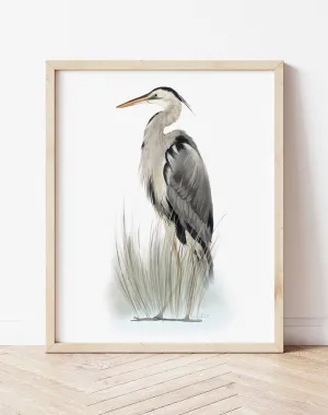 Great Blue Heron Bird in Grasses 2 - Print