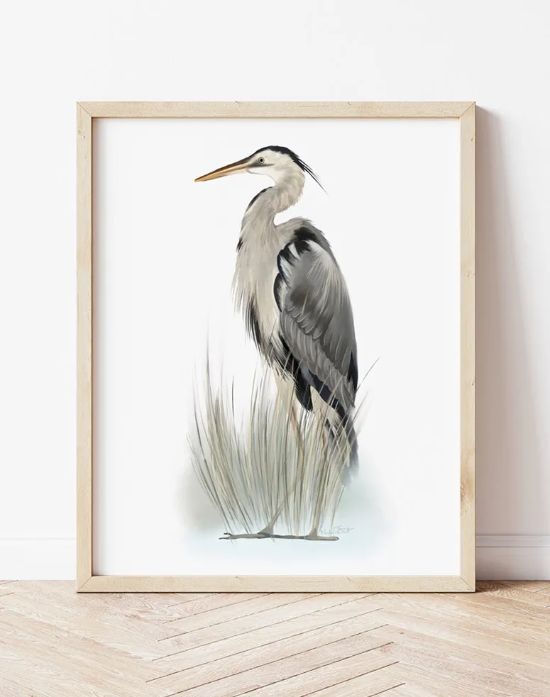 Great Blue Heron Bird in Grasses 2 - Print