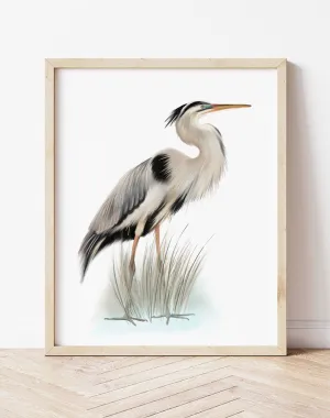 Great Blue Heron Bird Print 1