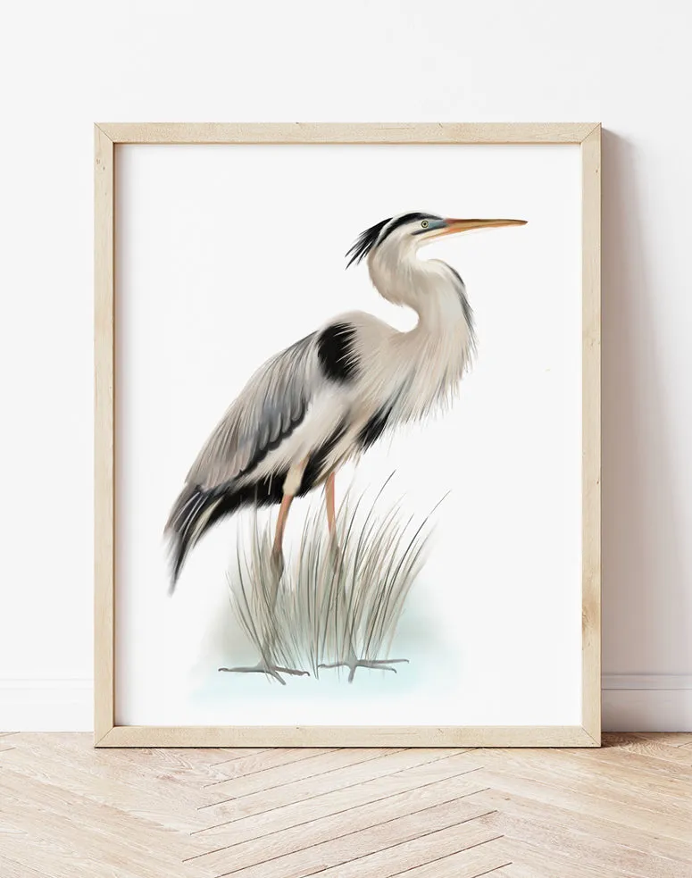 Great Blue Heron Bird Print 1