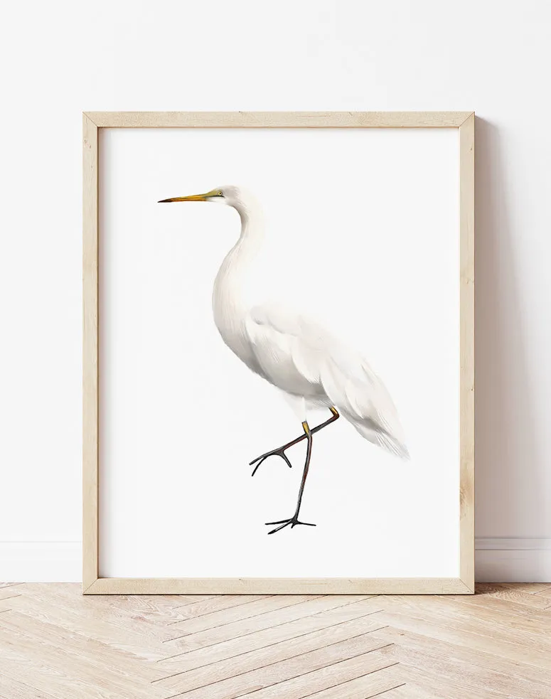 Great Egret 2 Bird Art Print