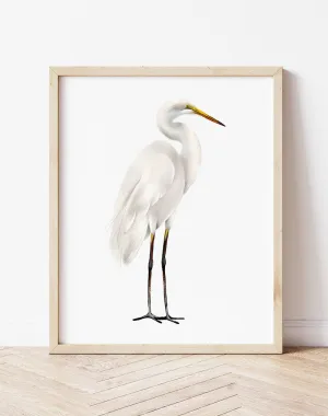 Great Egret Bird Art Print