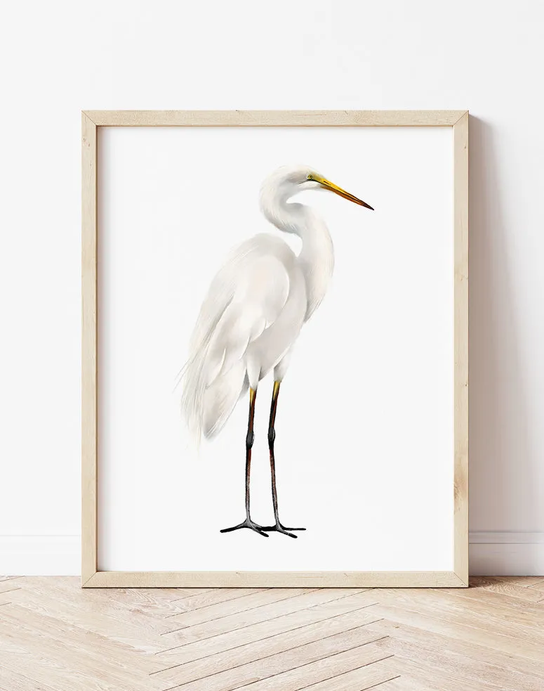 Great Egret Bird Art Print