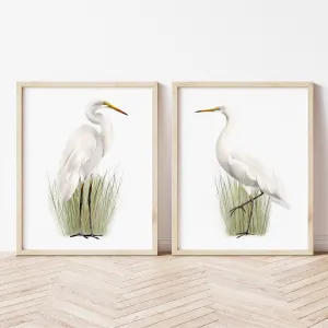 Great Egret Bird Art Prints - Set of 2