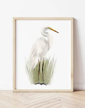 Great Egret in Grasses Bird Art Print 2