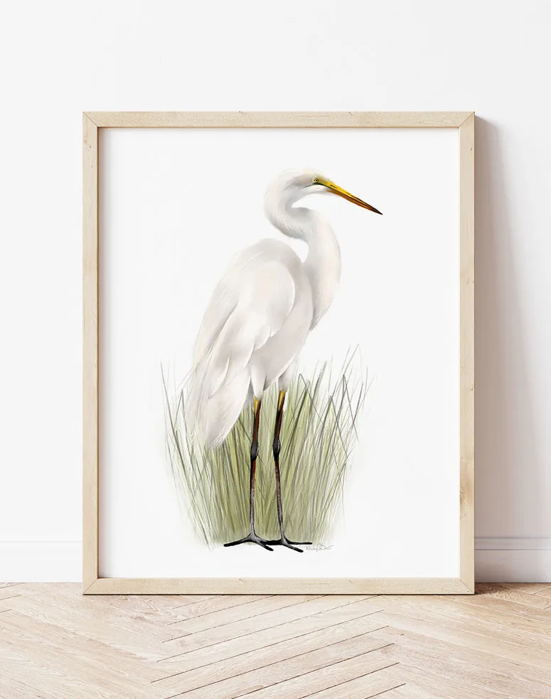 Great Egret in Grasses Bird Art Print 2