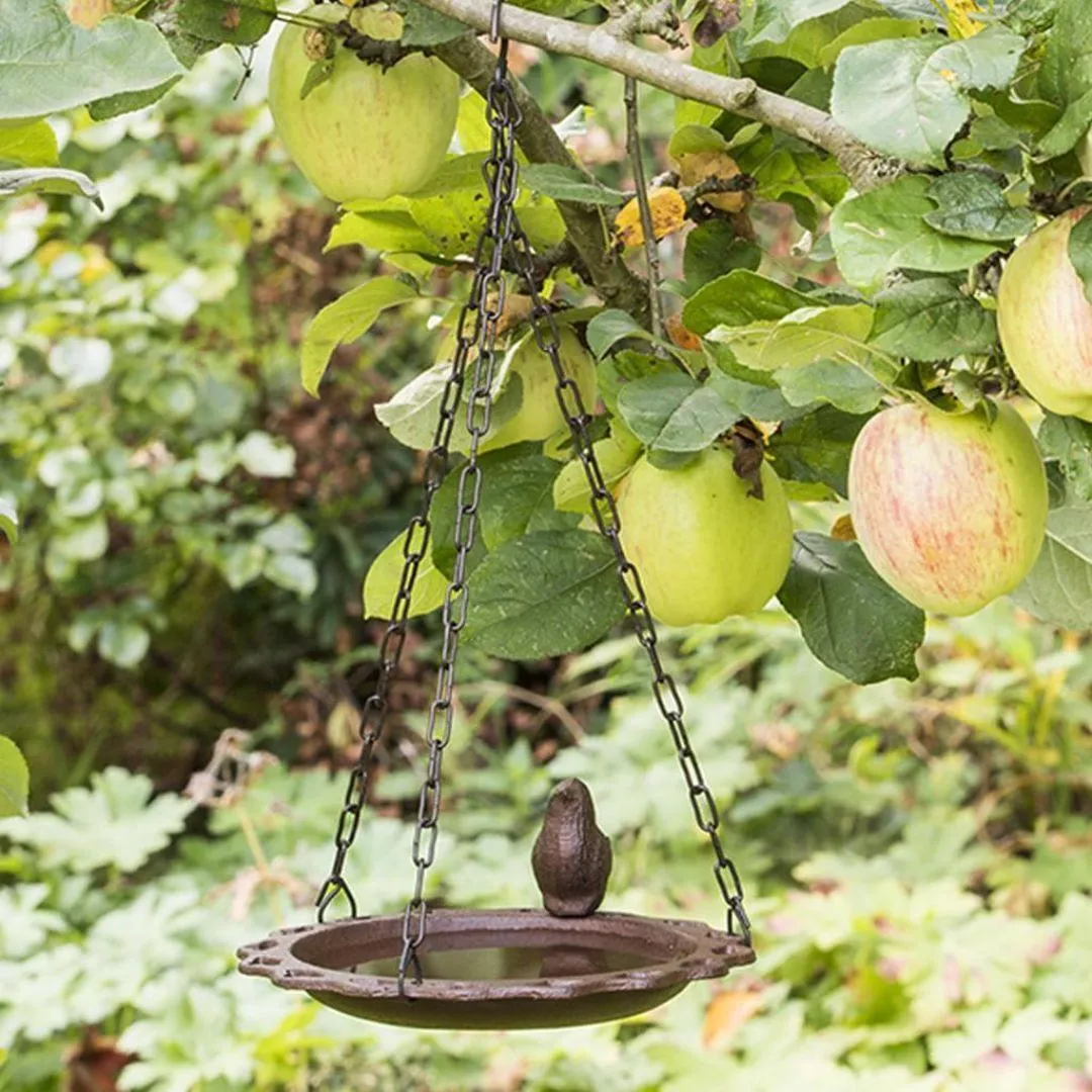 Hanging Bird Bath
