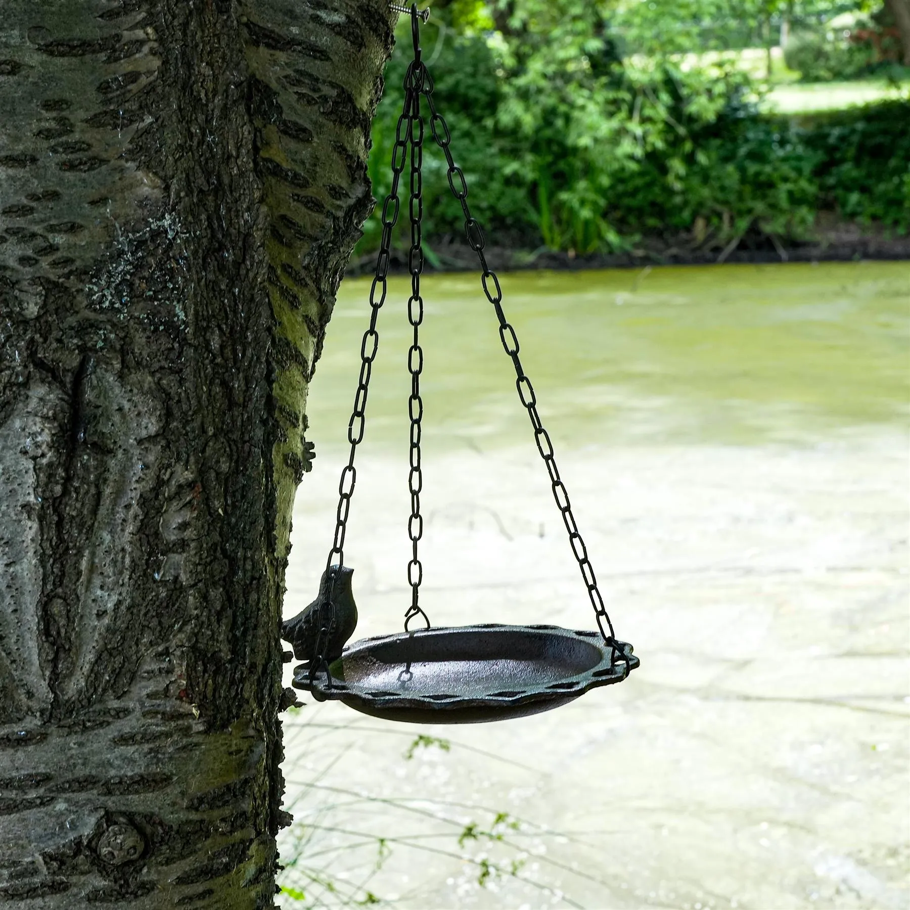 Hanging Bird Bath