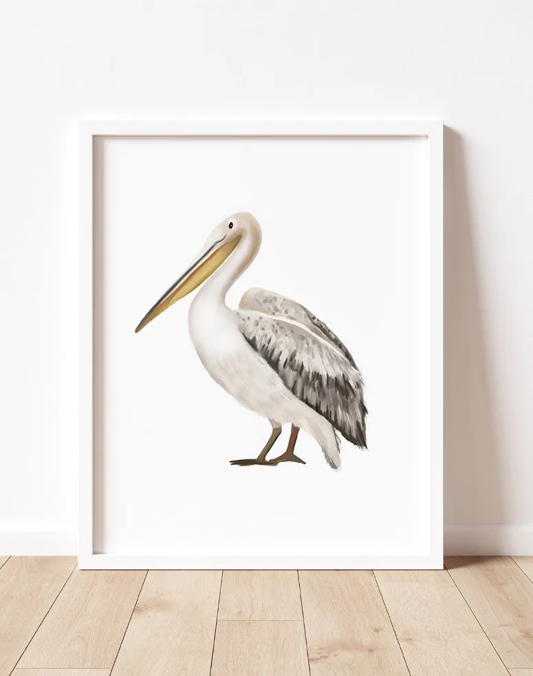 Pelican Art Print