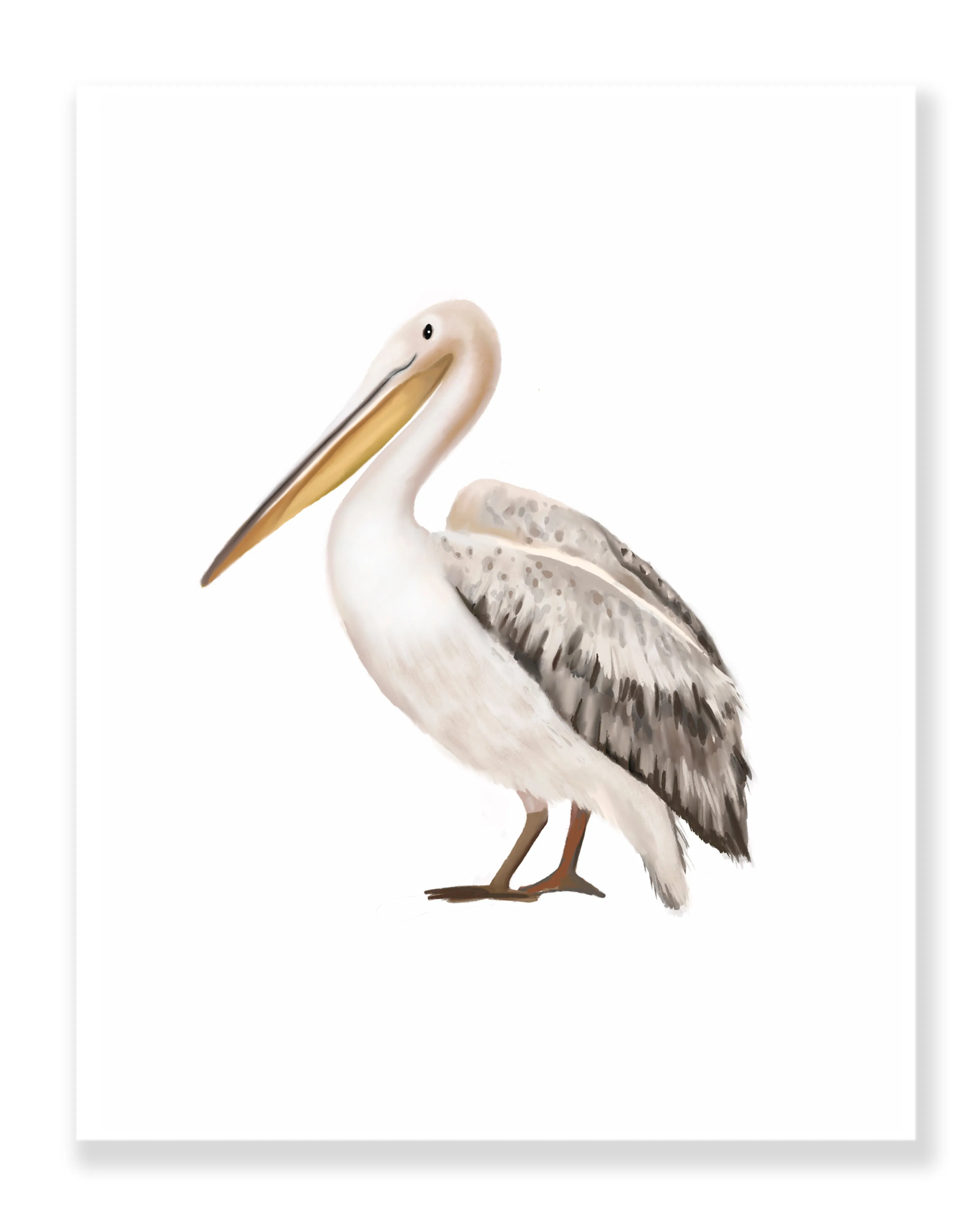 Pelican Art Print