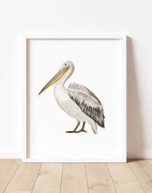 Pelican Art Print