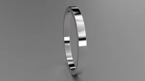 Polished Sterling Silver 2mm Flat Wedding Band