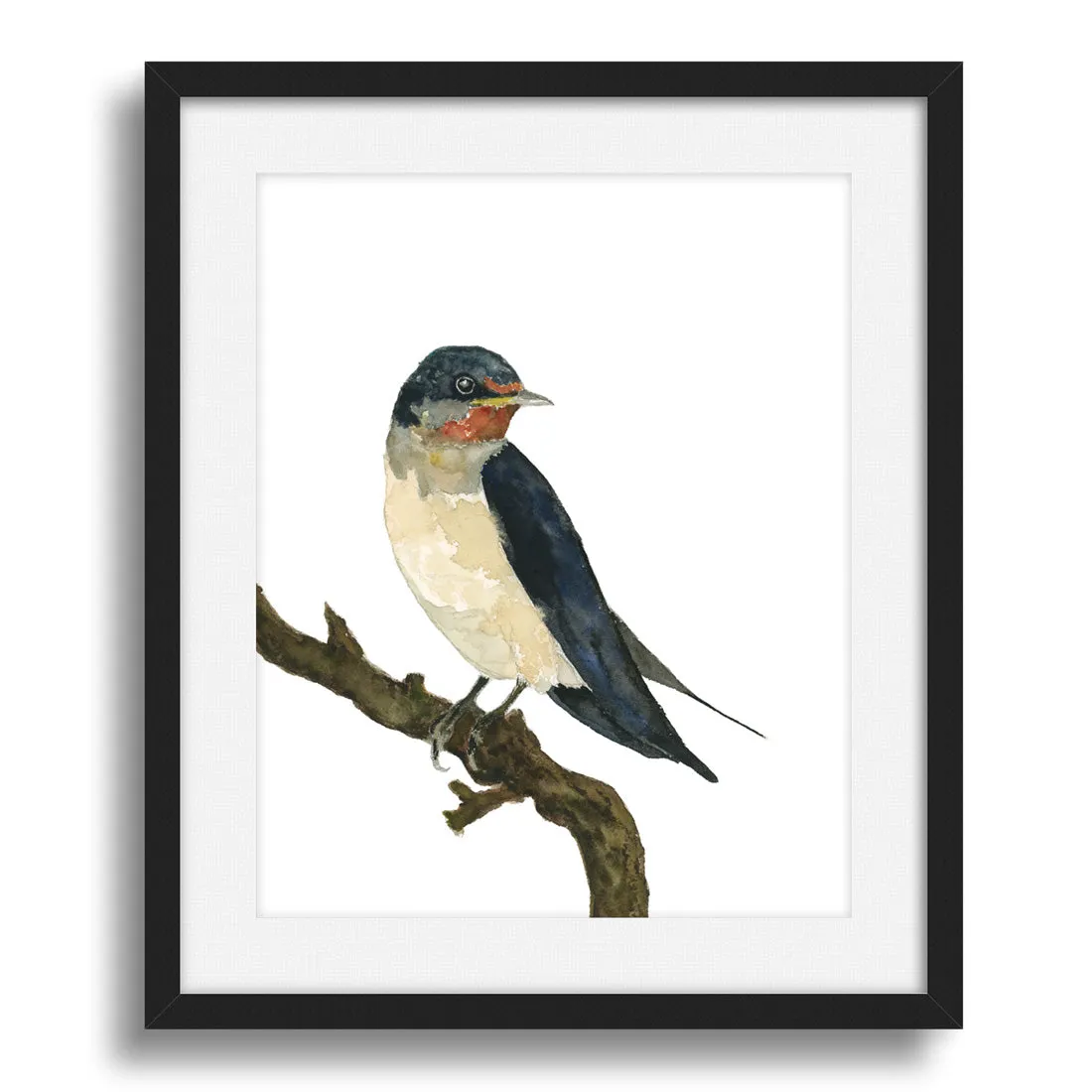 "Barn Swallow" Bird Art Print