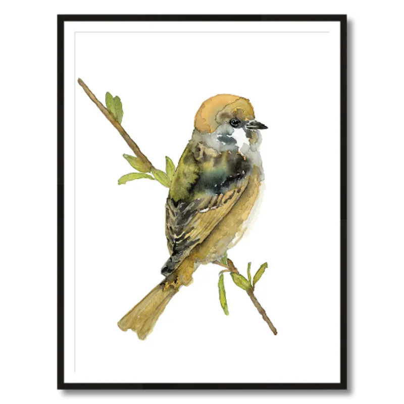 "Felicity" Tree Sparrow Art Print