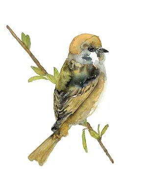 "Felicity" Tree Sparrow Art Print