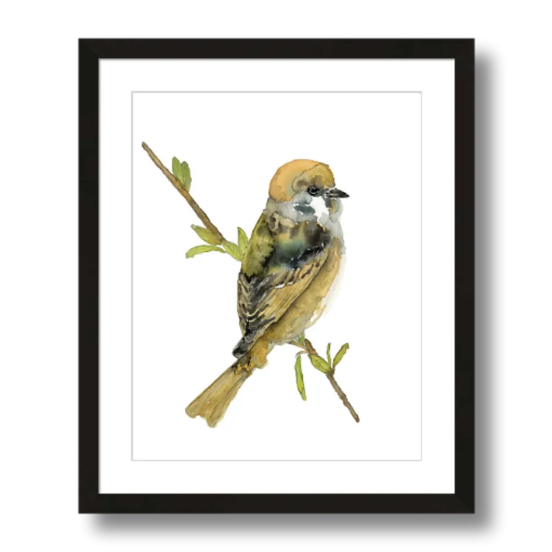 "Felicity" Tree Sparrow Art Print