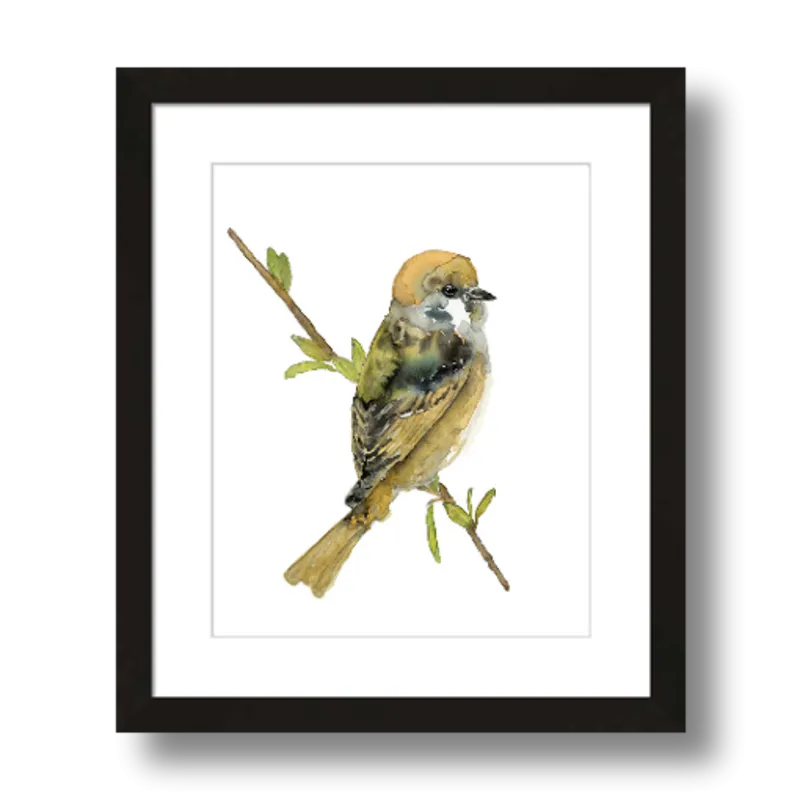 "Felicity" Tree Sparrow Art Print