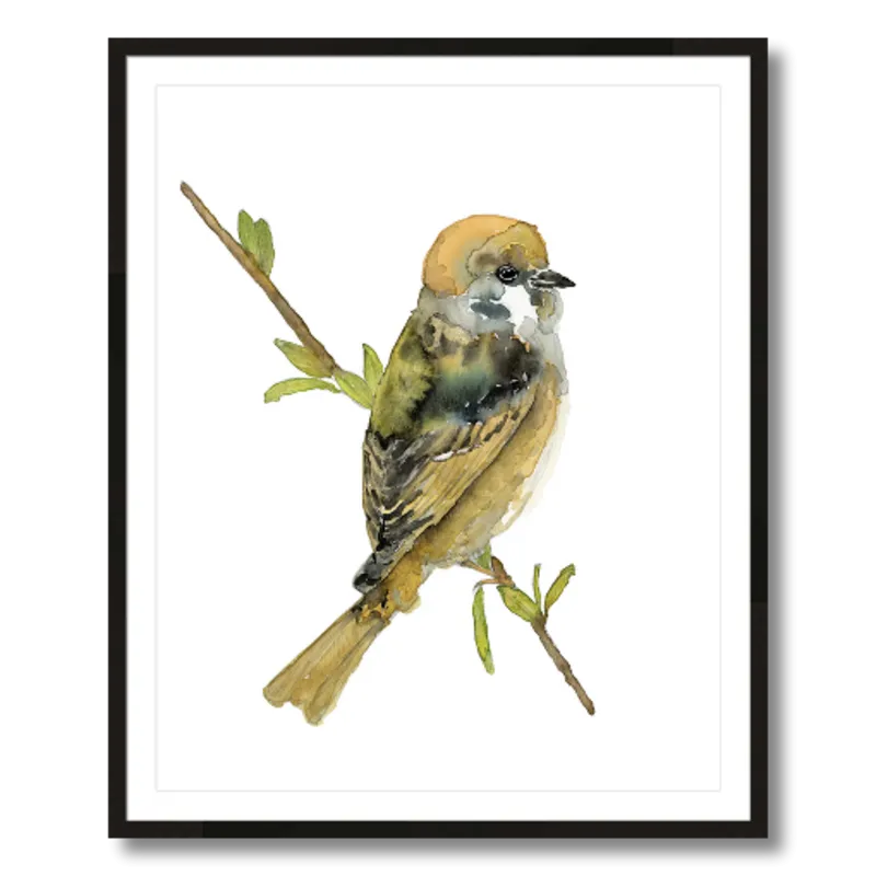 "Felicity" Tree Sparrow Art Print