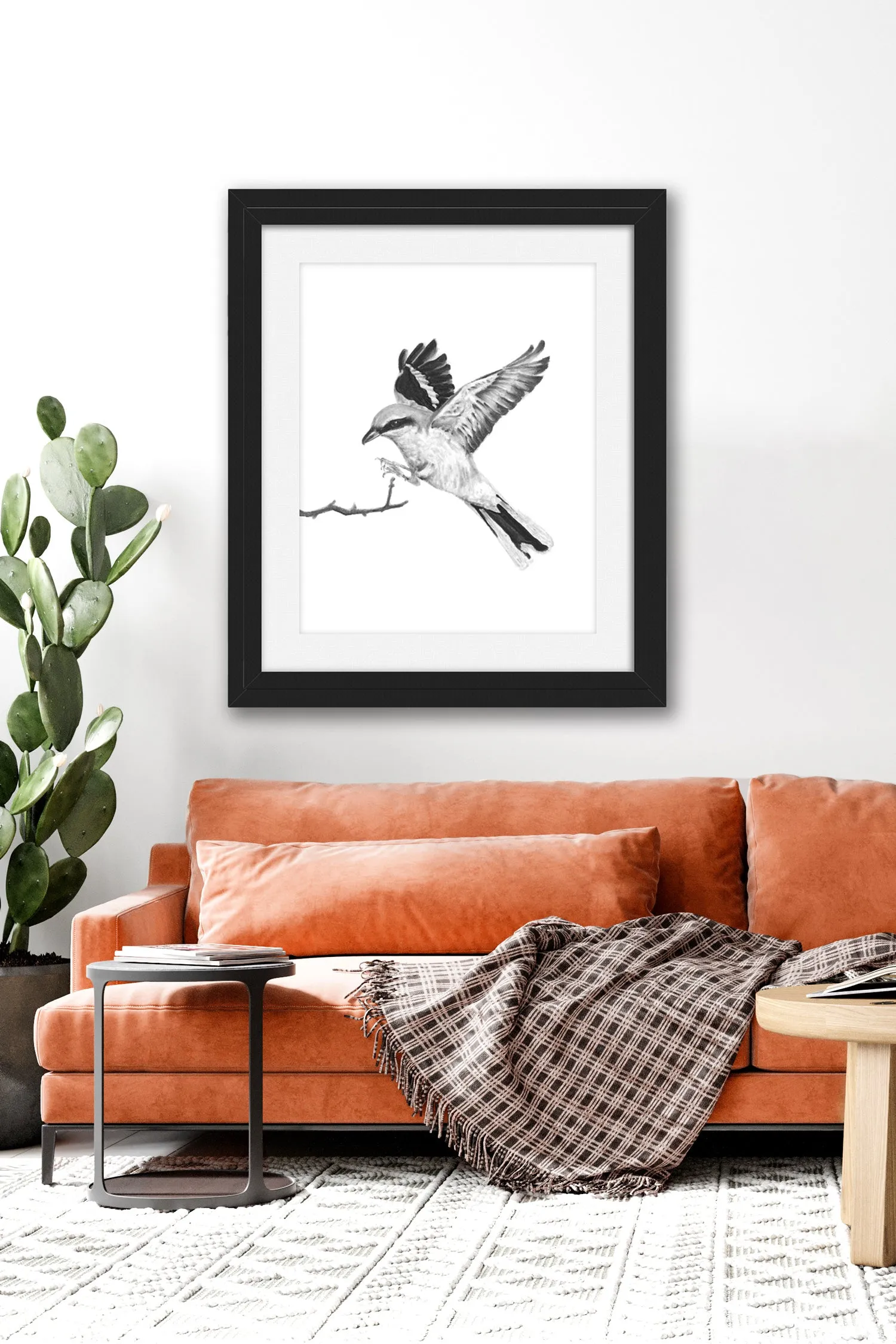 "Great Grey Shrike" Charcoal Bird Art Print