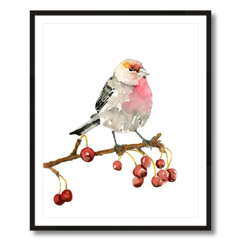 "House Finch" Bird Art Print