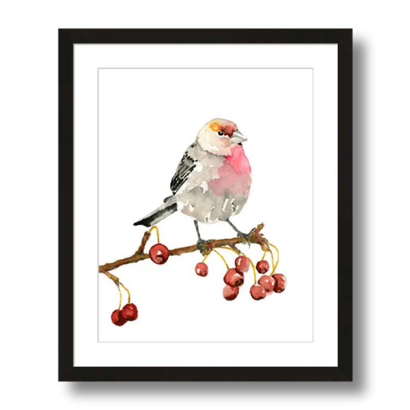 "House Finch" Bird Art Print