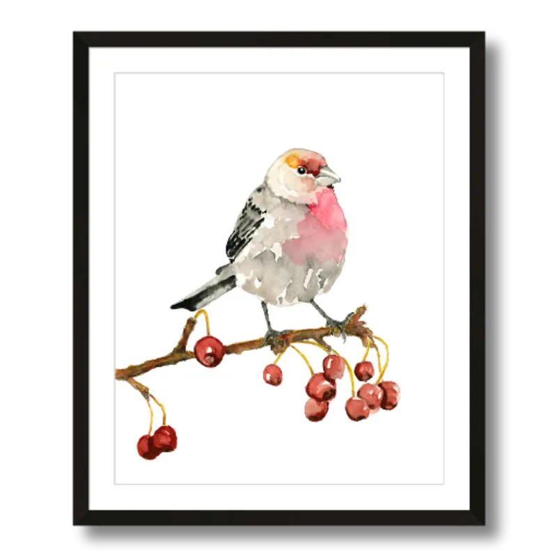 "House Finch" Bird Art Print
