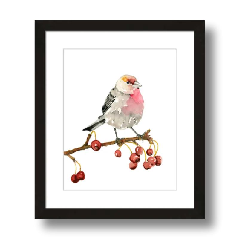 "House Finch" Bird Art Print