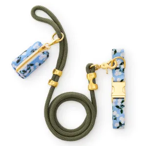 Rifle Paper Co. x TFD Hydrangea Collar Walk Set