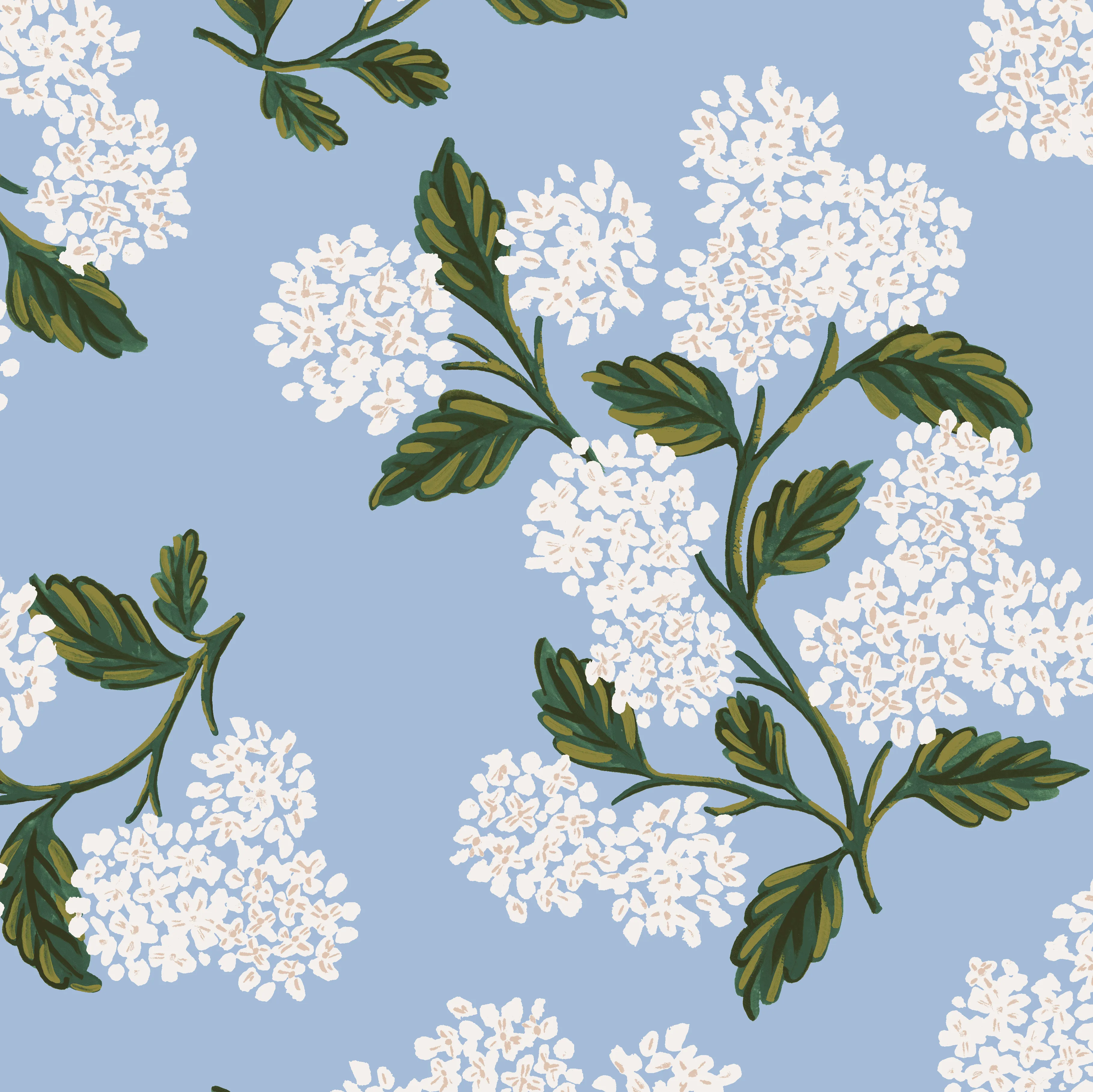 Rifle Paper Co. x TFD Hydrangea Collar Walk Set
