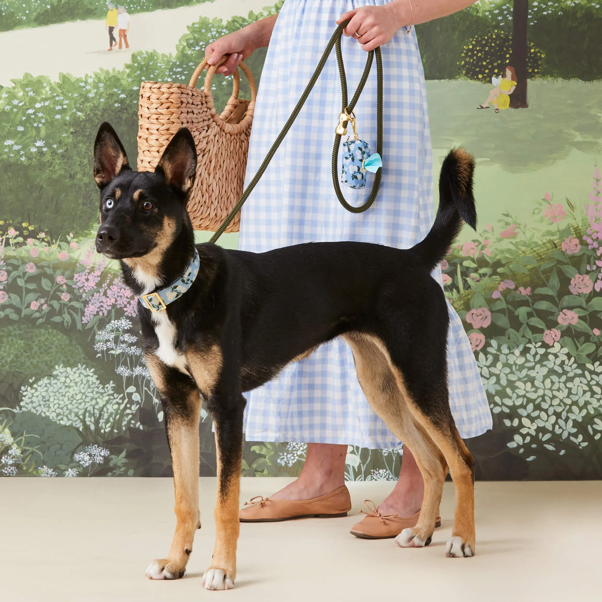 Rifle Paper Co. x TFD Hydrangea Collar Walk Set