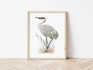 Sandhill Crane Bird Print #2