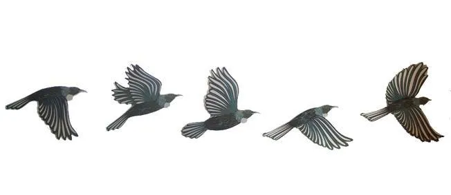 Set of 5 Coloured Tui Birds Wall Art
