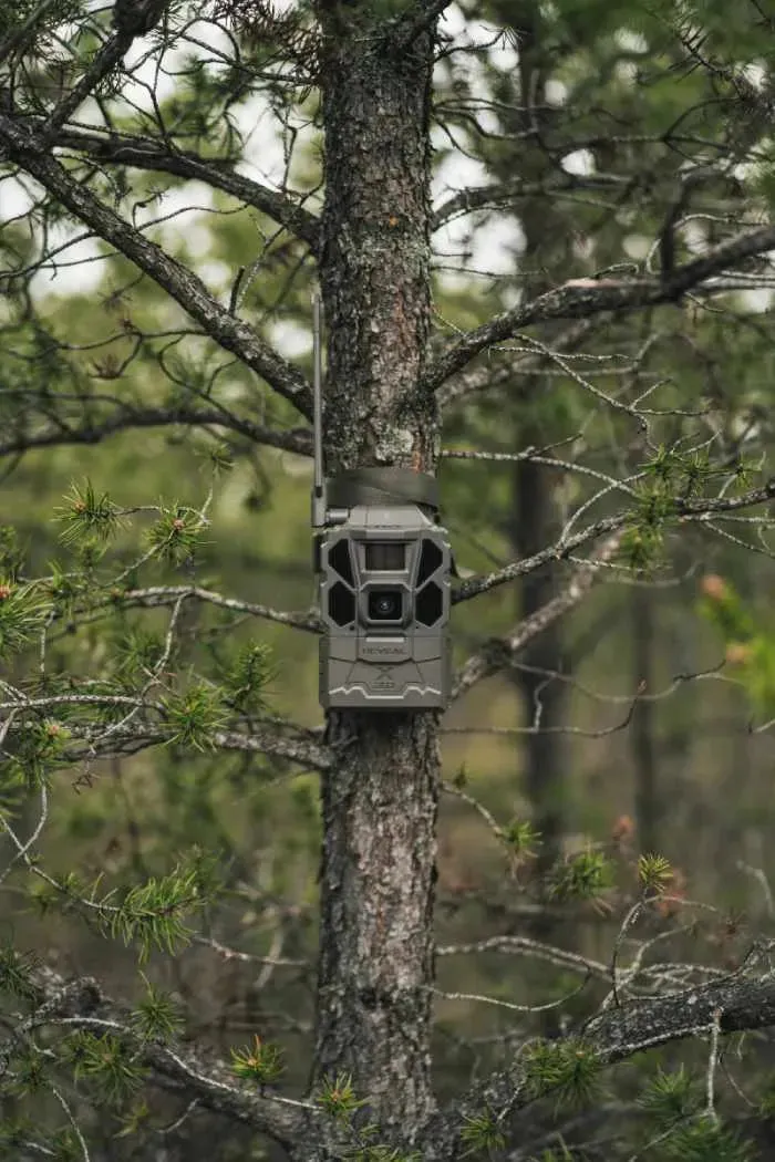Tactacam Reveal X 3.0 Cellular Trail Camera 2-Pack