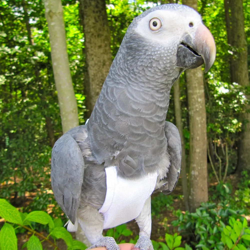 White FeatherWear FlightSuit™