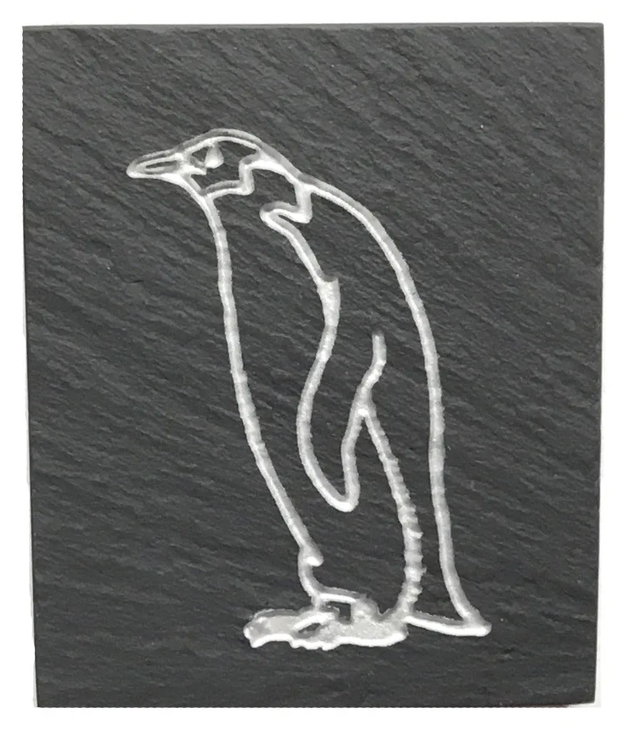 Wildlife Magnets
